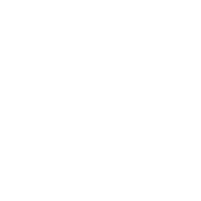 logo Festival des Libertés
